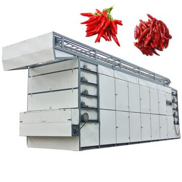 High Efficiency Energy Saving Continuous Chili Dewatering Mesh Belt Drying Machine
