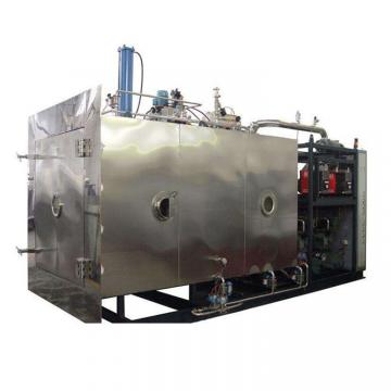 Industrial herbs seed flower blueberry vacuum freeze dryer machine for sale